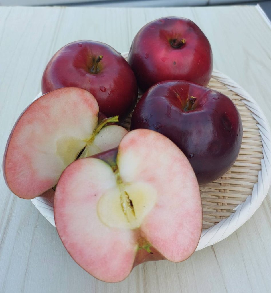 秋田リンゴ紅の夢