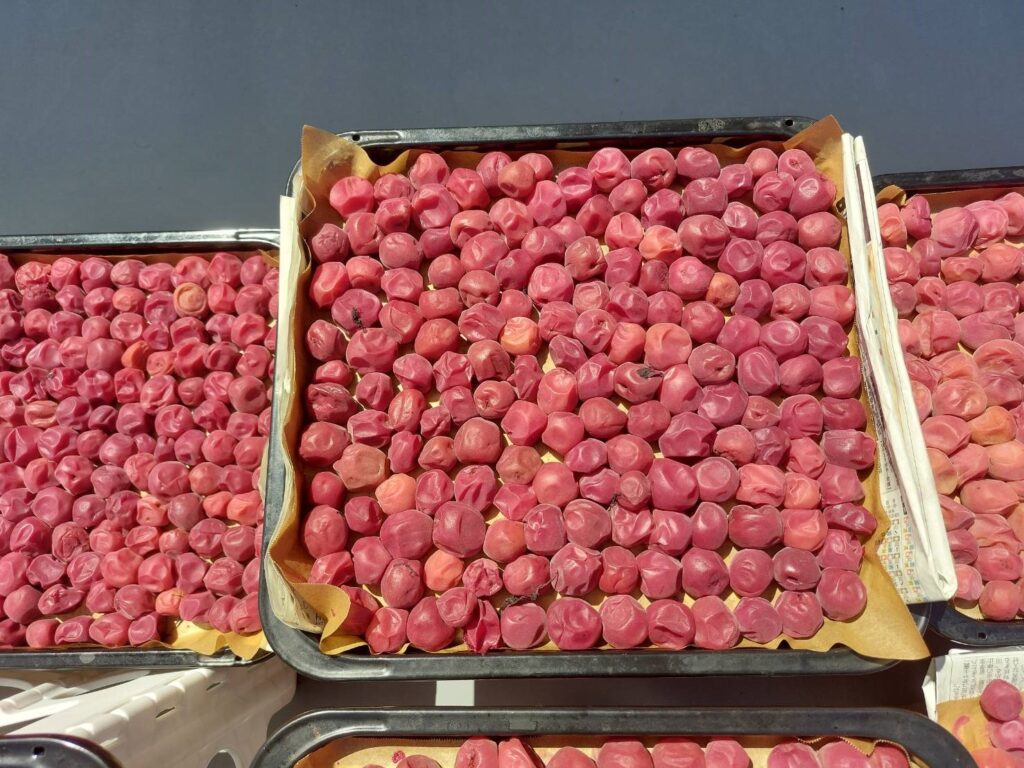 梅干しの土用干し