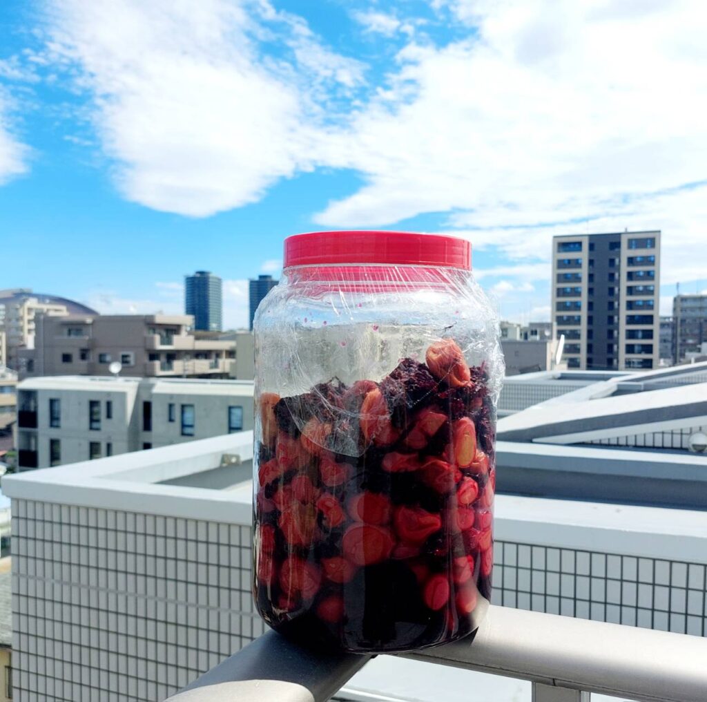 「あたか農園」さんの赤紫蘇で梅干しもきれいに染まりました