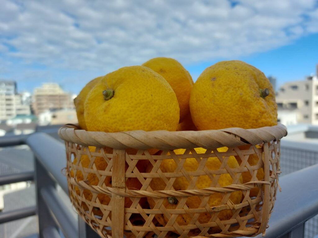 柚子マーマレード