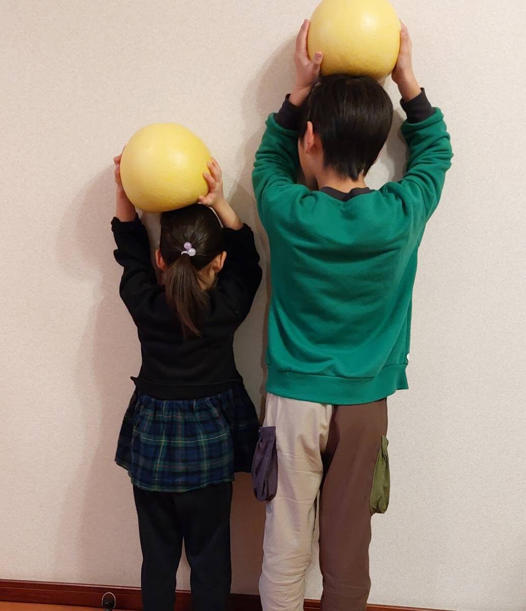 大きくてビックリ‼️晩白柚