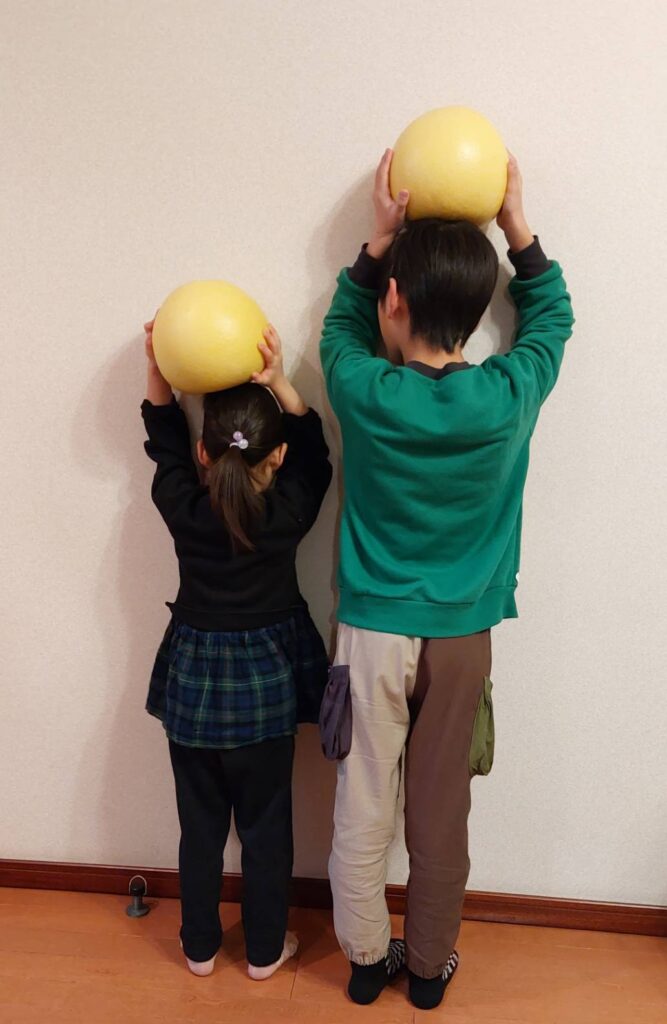 大きくてビックリ‼️晩白柚