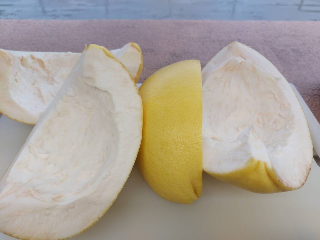 ふかふか晩白柚の皮