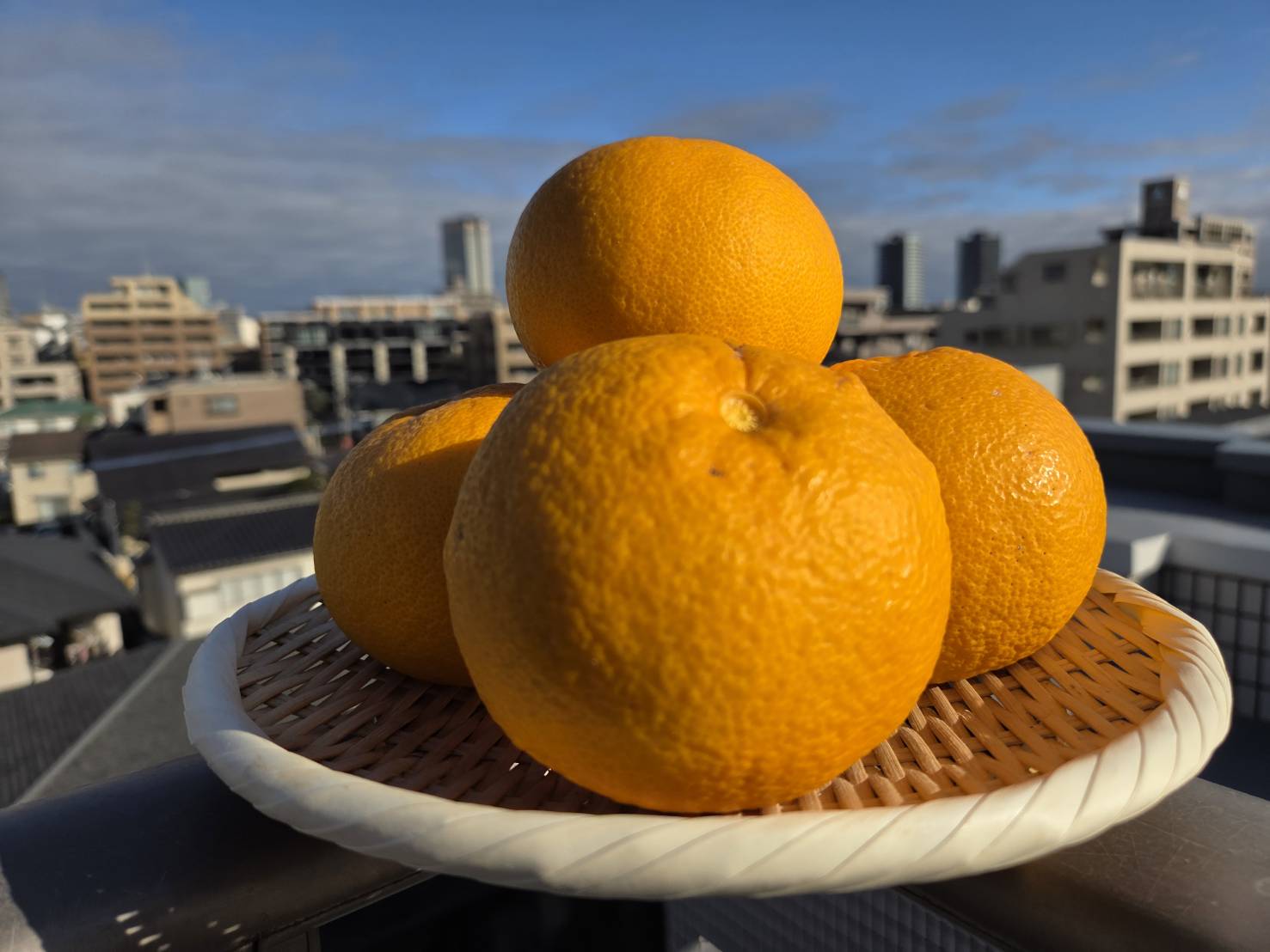 はっさくマーマレード